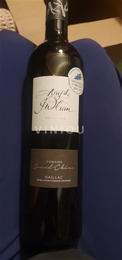 Sud-Ovest Gaillac Domaine Grand Chêne Sélection Aristide Julian 2020