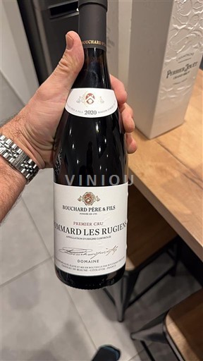 Bourgogne Pommard Premier Cru Bouchard Père & Fils Pommard Les Rugiens 2020