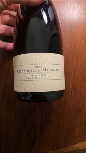 Bourgondië Chambolle-Musigny Premier Cru Amiot Servelle Les plantes 2023