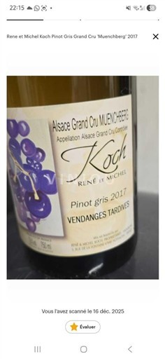 Elzas Pinot grigio Grand Cru René et Michel Koch 2017