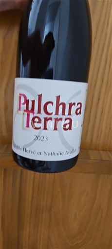 Alpes và các vùng Rhodanien Collines rhodaniennes Vignoble Hervé et Nathalie Avallet Pulchra Terra 2023