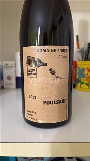 Jura Arbois Domaine Forêt Poulsard 2023