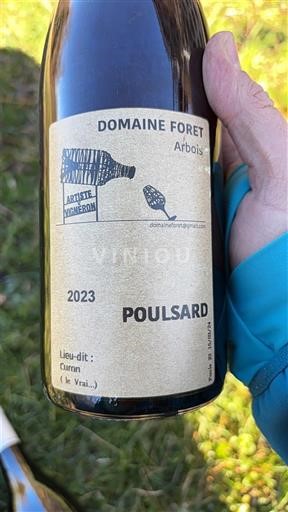 Jura Arbois Domaine Forêt Poulsard 2023