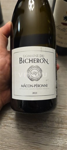 Burgundi Mâcon ja Mâcon-kylät Domaine Bicheron 2023