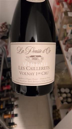 Bourgondië Niet gespecificeerd Premier Cru La Pousse d'Or Les Caillerets Niet-geïntegreerd