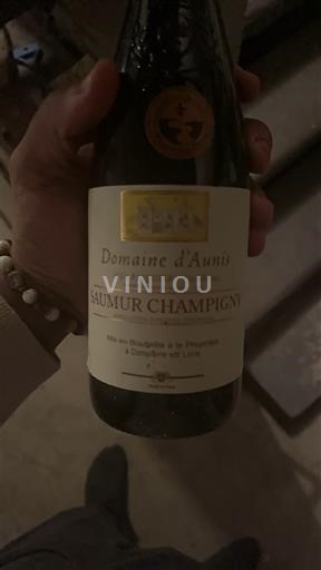 Loiren laakso Saumur-champigny Domaine Aunis 2018