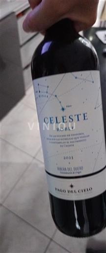 Castilien og León Ribera del Duero Pago del Cielo Celeste Roble 2021