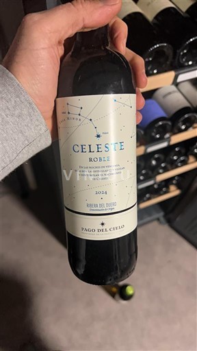 Castilië en León Ribera del Duero Pago del Cielo Celeste Roble 2021