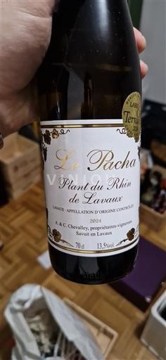 Vaud Không được chỉ định A & C Chevalley Le Pacha 2024