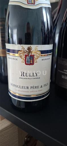Burgundy Rully Dufouleur Père & Fils 2020