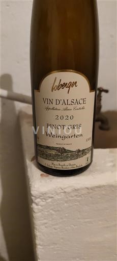 Alsace Pinot Grå Grand Cru Loberger Weingarten 2020