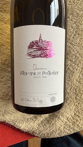 Lorraine Không được chỉ định Domaine Florence Pelletier Coteaux du Coiffy 2020