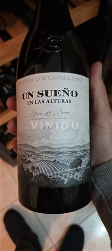 Castilien og León Ribera del Duero Pago de los Capellanes Un Sueño en las Alturas 2020