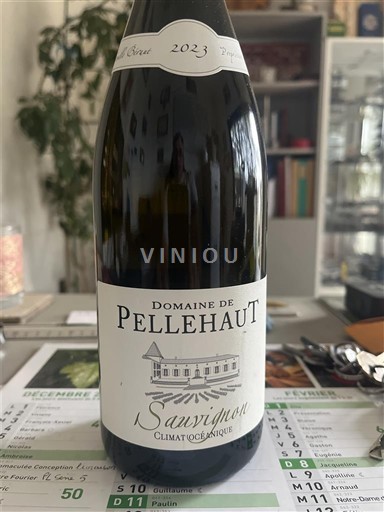 Vinhos Blanc sec Sauvignon Climat Océanique Domaine Pellehaut 2023 França Sudoeste Côtes de Gascogne IGP