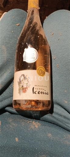 Beaujolais Terra Iconia Senza annata