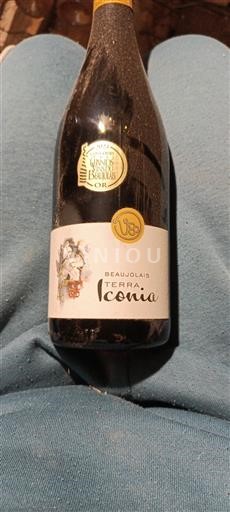Beaujolais Terra Iconia Senza annata