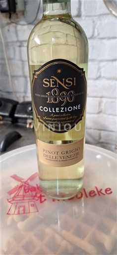 Vêneto Delle Venezie Sensi Collezione 2023