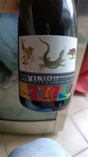 Languedoc Terrasses-du-larzac Les Chemins de Carabote Les Pierres qui Chantent Ikke årgangsbestemt