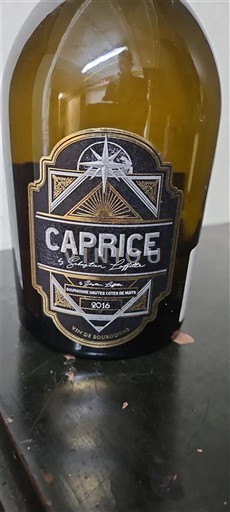 Burgundsko Hautes Côtes de Nuits Domaine Montmain Caprice 2016