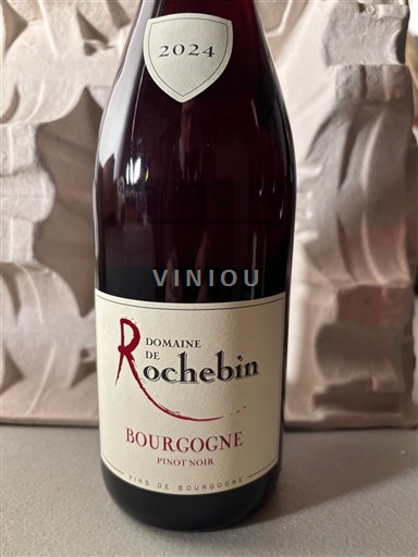 Burgundy Domaine Rochebin 2024