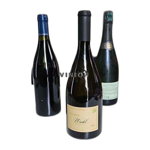 Tridentsko-Horní Adiže Alto Adige Valle Isarco Winkl Kellerei Cantina Terlan 2024