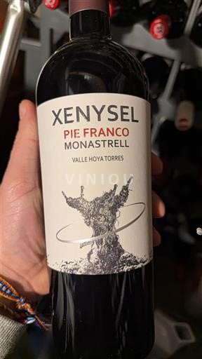 Murcia Jumilla Xenysel Pie Franco Monastrell 2024