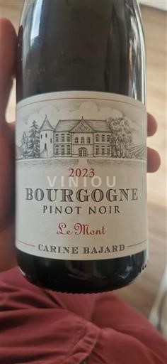Bourgogne Carine Bajard Le Mont 2023