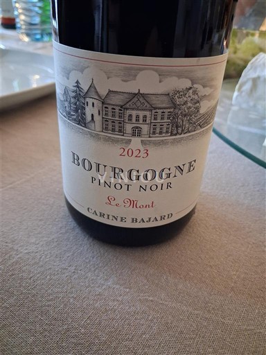 Bourgogne Carine Bajard Le Mont 2023