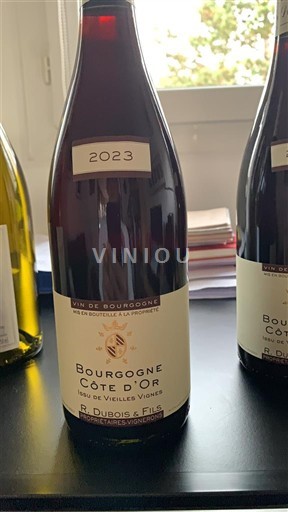 Burgundi Bourgogne Côte d'Or R. Dubois & Fils 60% de Vieilles Vignes 2023
