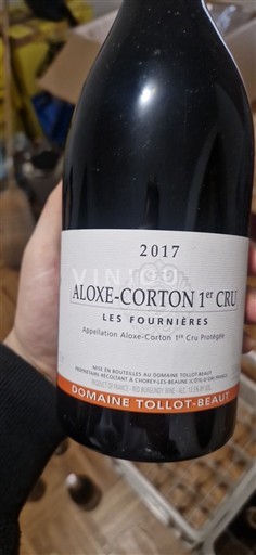 Burgundsko Nespecifikováno Premier Cru Domaine Tollot-Beaut Les Fournières 2017