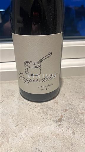 Costa Sur del Cabo Walker Bay Copper Pot 2022