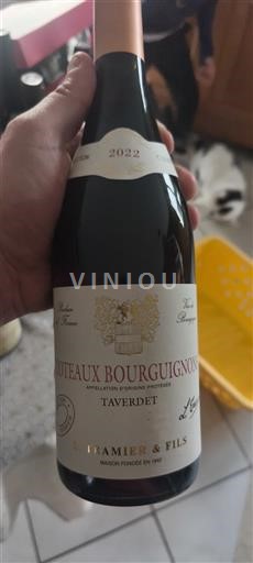Borgogna Coteaux borgognoni J. Ramier & Fils Taverdet 2022