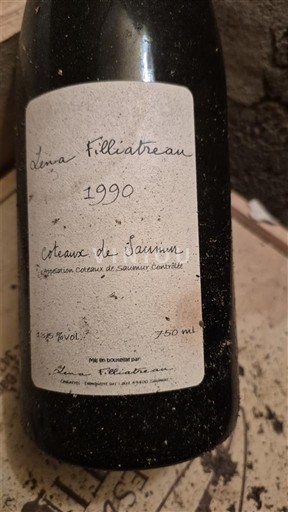 Rượu vang Blanc moelleux Lena Filliatreau Domaine Filliatreau 1990 Pháp Thung lũng sông Loire Coteaux-de-saumur AOC