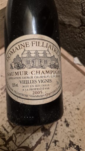 Loiren laakso Saumur-champigny Domaine Filliatreau Vieilles Vignes 2005