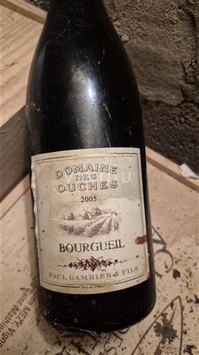 Vina Rouge sec Domaine Paul Gambier & Fils / Domaine des Ouches 2005 Francija Dolina Loare Bourgueil AOC