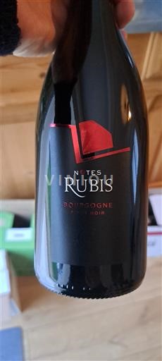 Burgundija Ni doloceno Notes Rubis 2022