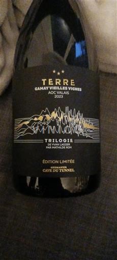 Valais Không được chỉ định Cave du Tunnel Trilogie Terre Gamay Vieilles Vignes 2023