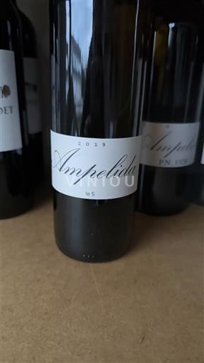 Valle del Loira No especificado Ampelidae le S 2019