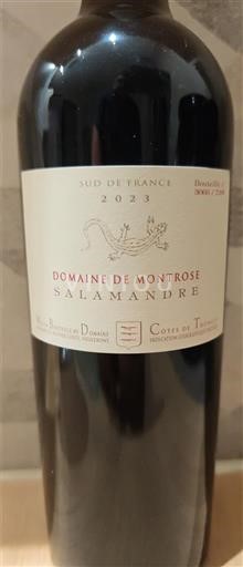 Languedoc-Roussillon Côtes de Thongue Domaine Montrose Salamandre 2023