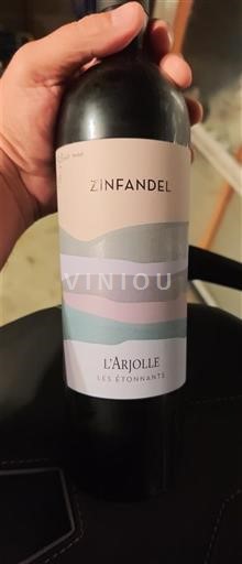 Languedoc-Roussillon Côtes de Thongue Domaine L'Arjolle Les Étonnants Zinfandel 2023