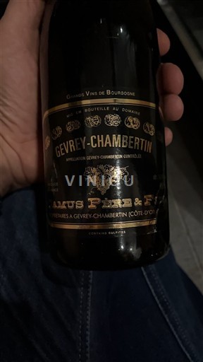 Burgundsko Gevrey-Chambertin Camus Père & Fils 2013