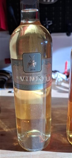 Sud-Ovest Gaillac Domaine Moulin 2016