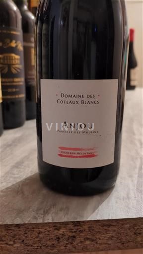 Valle del Loira Anjou Domaine S Coteaux Blancs Parcelle des Moulins 2023