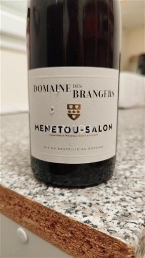 Valle del Loira Menetou-Salon Domaine S Brangers 2024