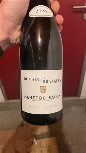 Loire-dalen Menetou-Salon Domaine S Brangers 2024