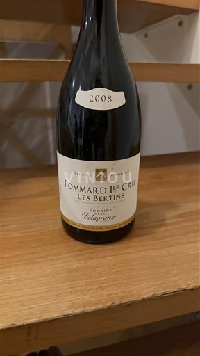 Bourgogne Premier Cru Domaine Lagrange Les Bertins 2008