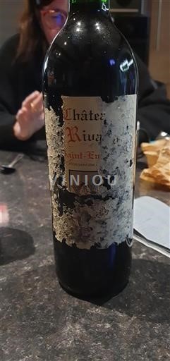 Bordeaux Saint-Émilion Château Rivaud Neleten.