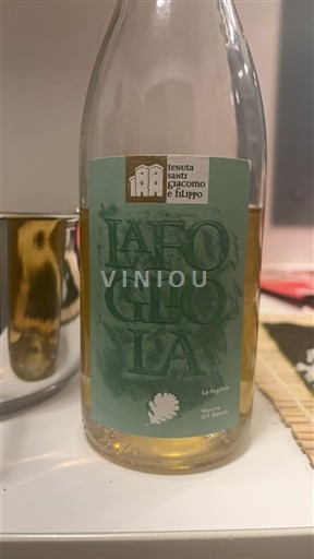 Calabria Cirò Blanco Tenuta Santi Giacomo e Filippo La Foglia 2022