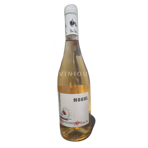 Rhône-dalen Mas theo Mogul 2015