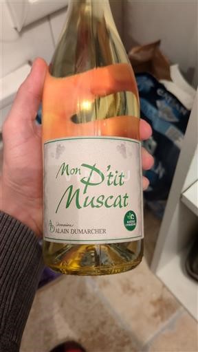 Rhônedalen Ospecificerad Domaine Alain Dumarcher Mon P'tit Muscat 2023